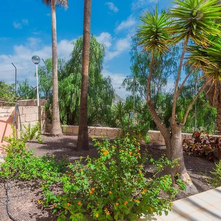 Lovely 1 Bed, Chayofa, Near Cristianos - 1 Bed, Wi-fi, Terrace, Pool! Appartement